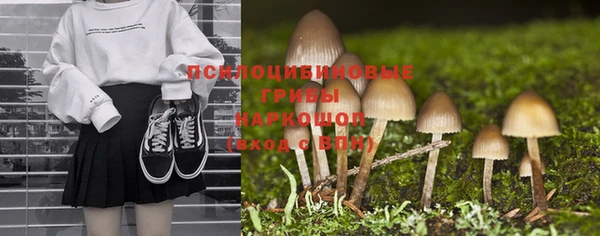 таблы Козловка