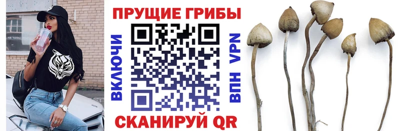 OMG как зайти  Макарьев  Галлюциногенные грибы MAGIC MUSHROOMS  купить  сайты 
